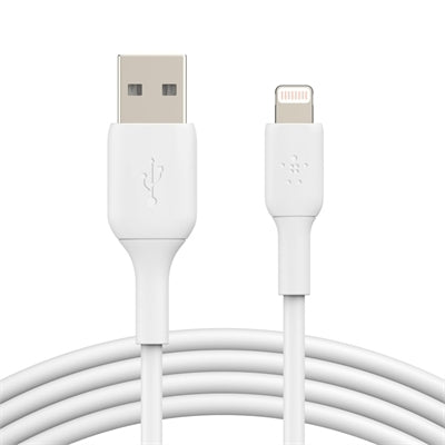 BST CHGR LGTING to USB-A Cable