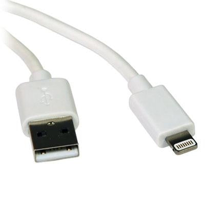 6ft Lightning to USB iPhone iP