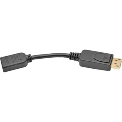 6" Adapter Cable