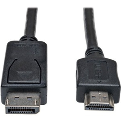 10ft Displayport HD Cbl Adptr