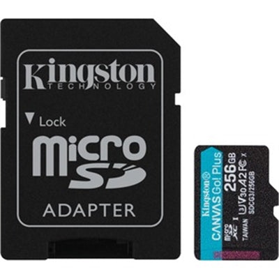 Canvas Go Plus 256GB microSDXC