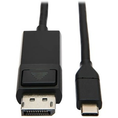 USB-C to DisplayPort Adapter