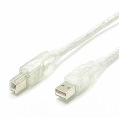 10' Clear USB Cable A B