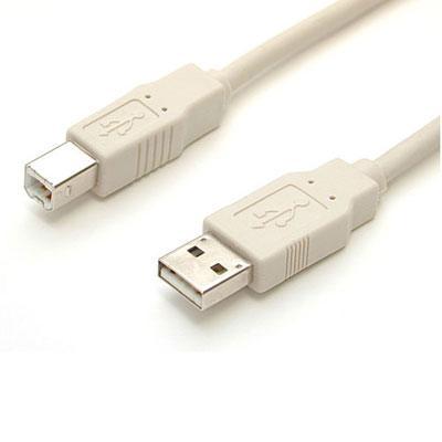 6 ft Beige A to B USB CablE